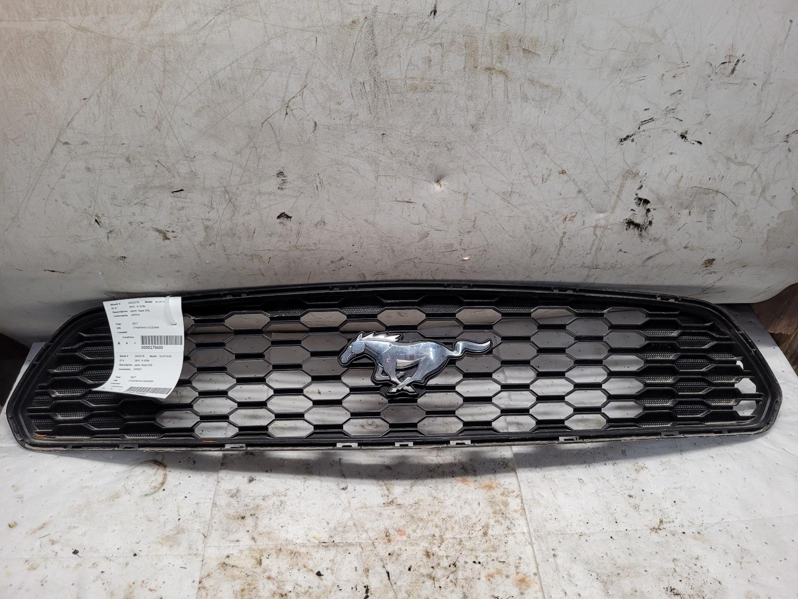 Grille for Ford vehicles