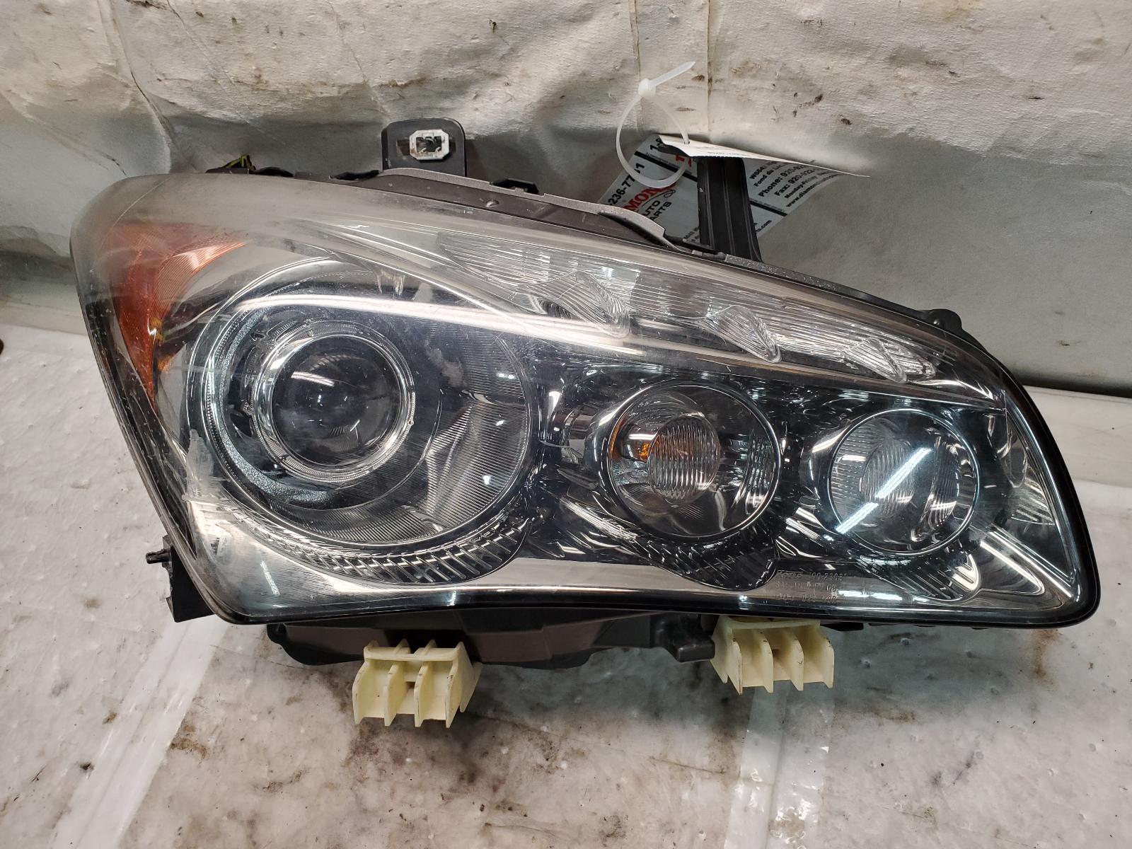 Headlight Assembly for Infiniti vehicles