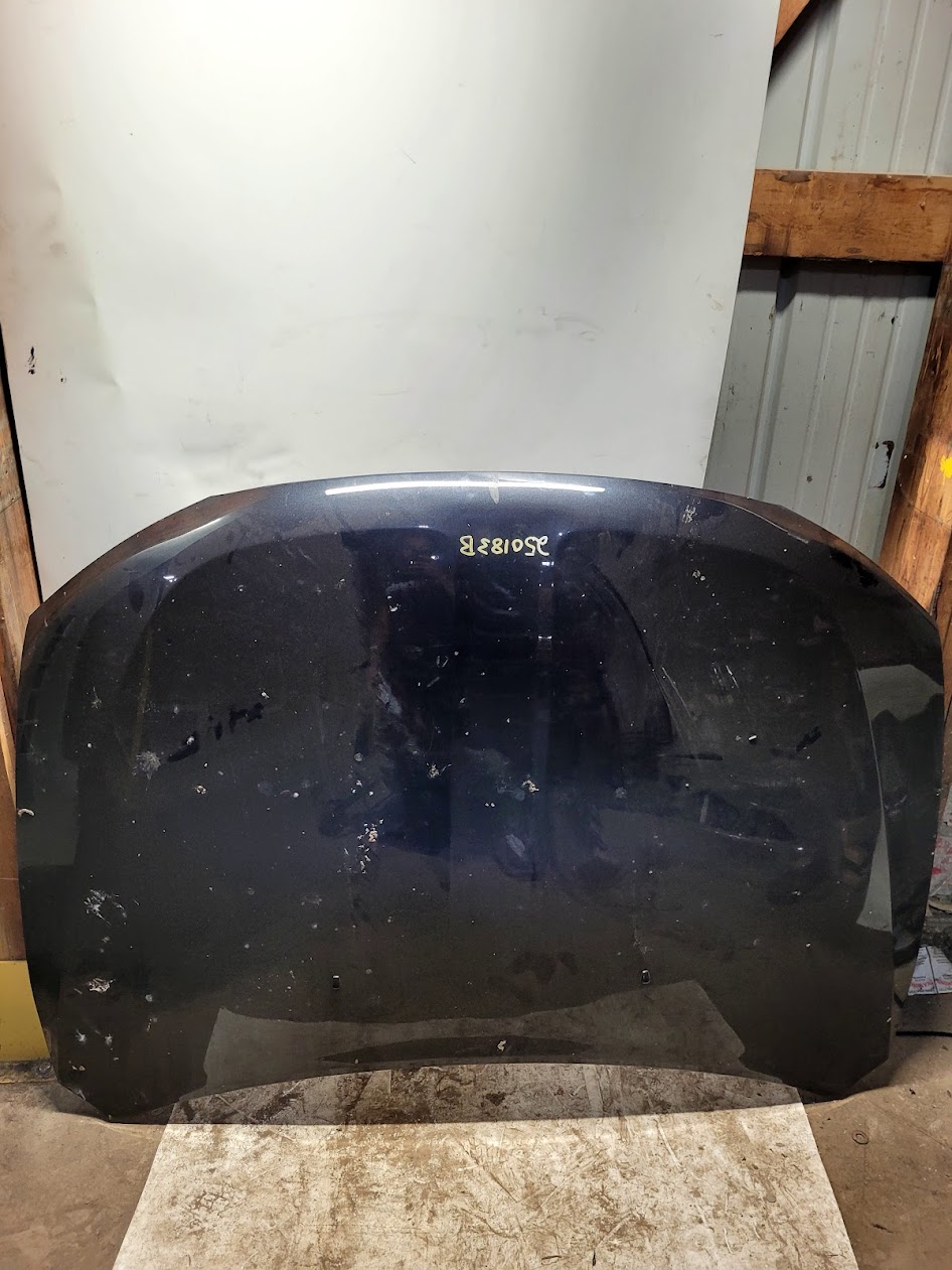 Hood for Dodge vehicles