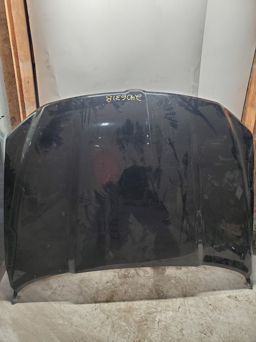 Hood for Dodge vehicles