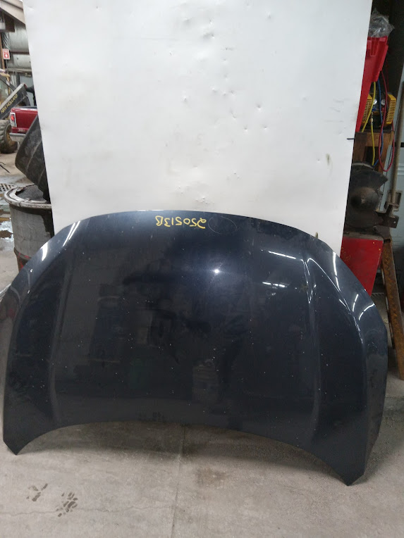 Hood for Honda vehicles