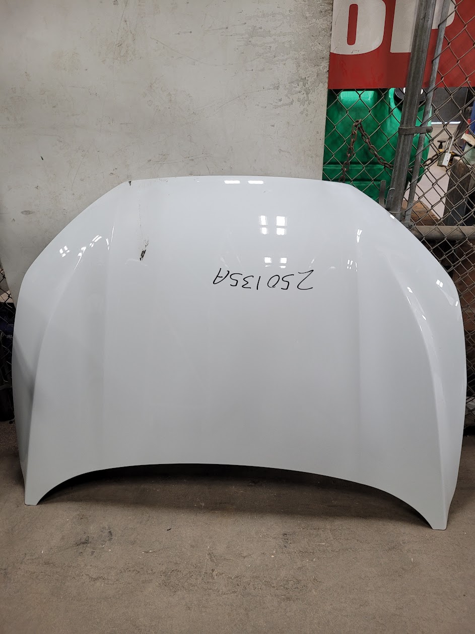 Hood for Ford vehicles