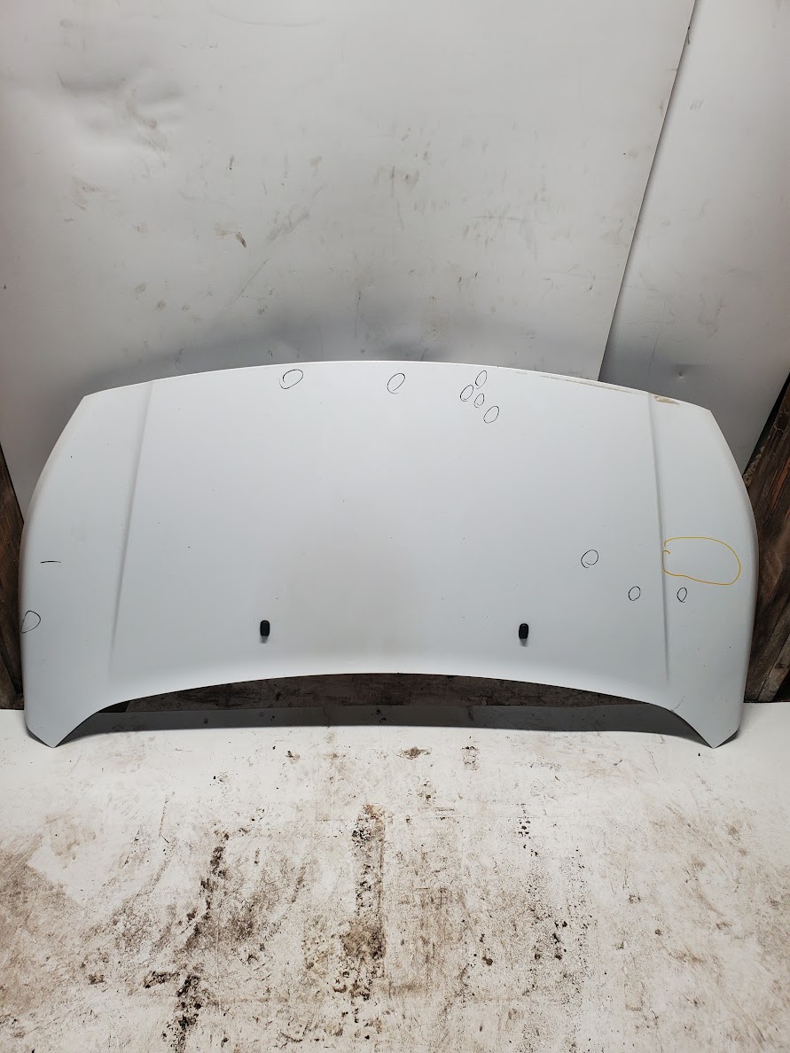 Hood for Ford vehicles