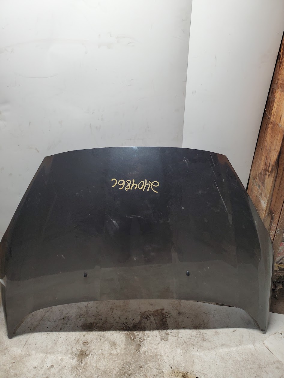 Hood for Ford vehicles