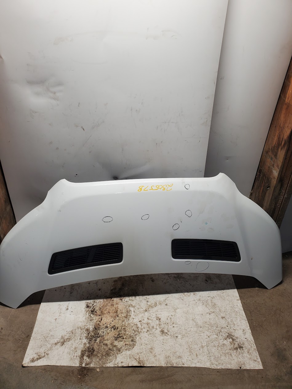 Hood for Ford vehicles
