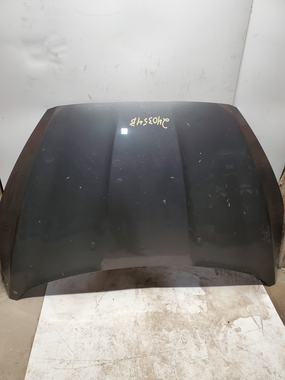 Hood for Ford vehicles