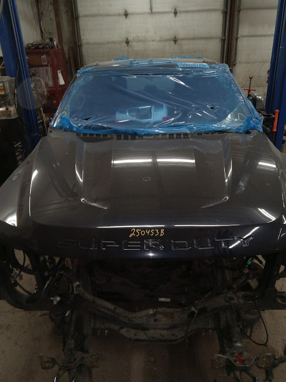 Hood for Ford vehicles