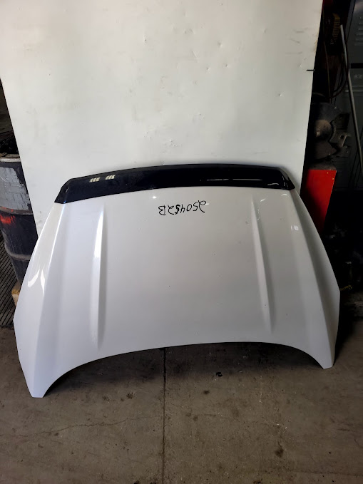 Hood for Ford vehicles