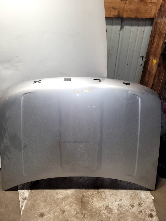 Hood for Ford vehicles