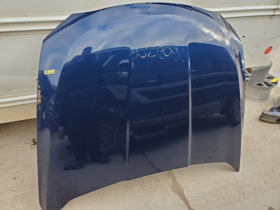 Hood for Ford vehicles