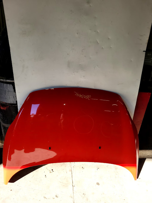 Hood for Ford vehicles