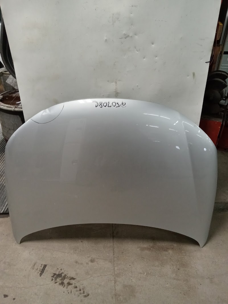 Hood for Volkswagen vehicles