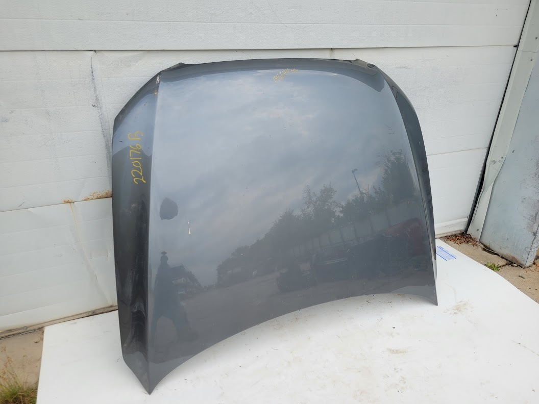 Hood for Audi vehicles