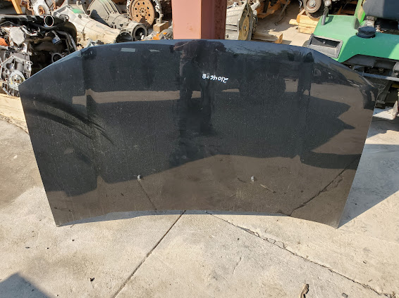 Hood for Honda vehicles
