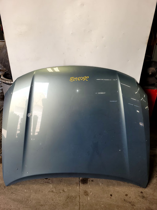 Hood for Honda vehicles