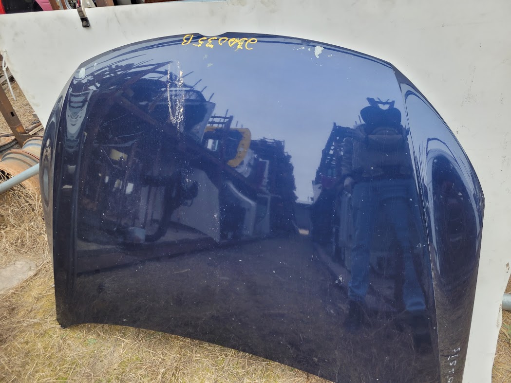 Hood for Volkswagen vehicles