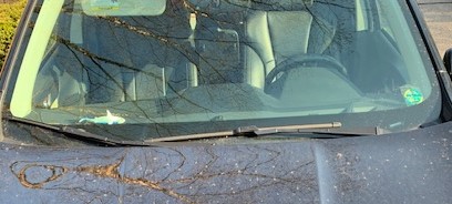 Windshield Glass for Subaru vehicles